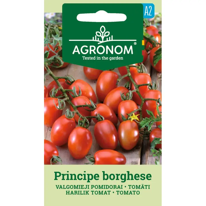 Tomat principe borghese-solanum lycopersicum l.