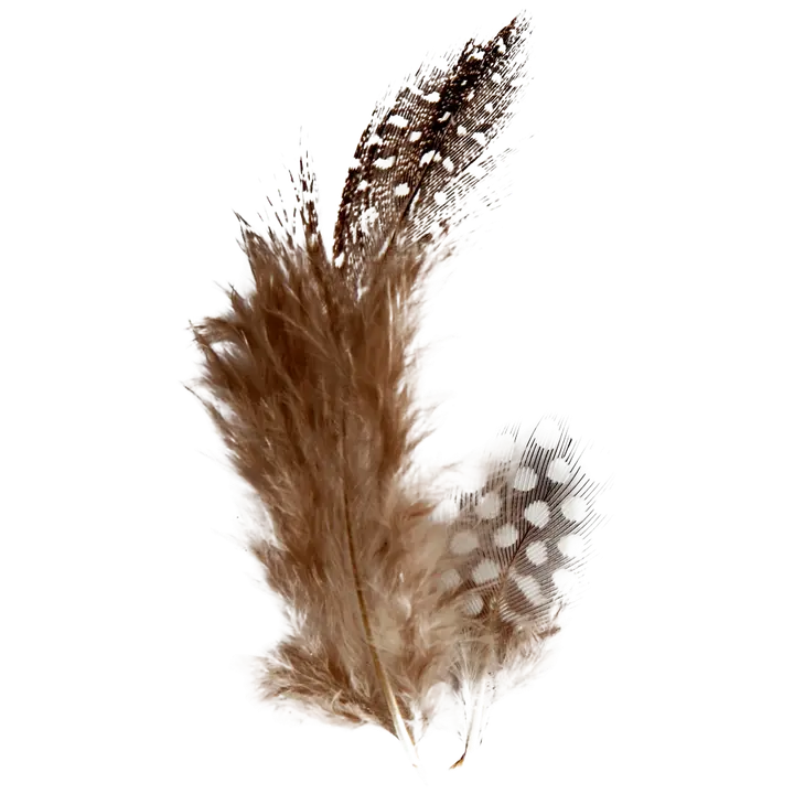 Nellen höyhenet helmikana n. 100 kpl