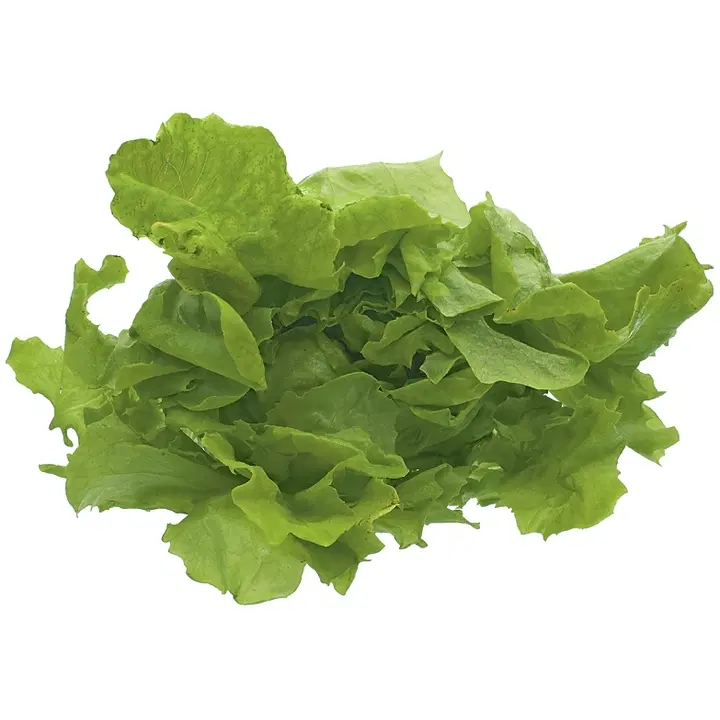 Lehtosen Puutarha keräsalaatti 100 g