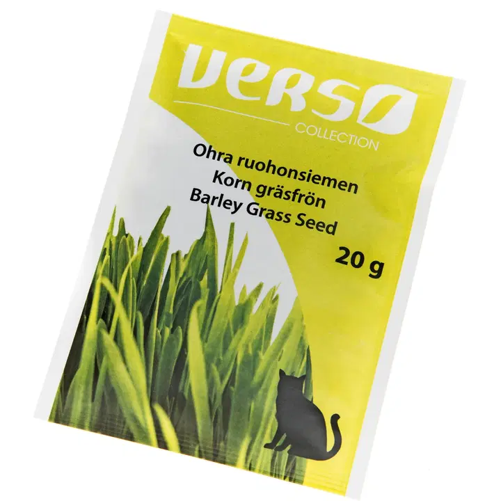 Verso Ohraruoho 20 g display