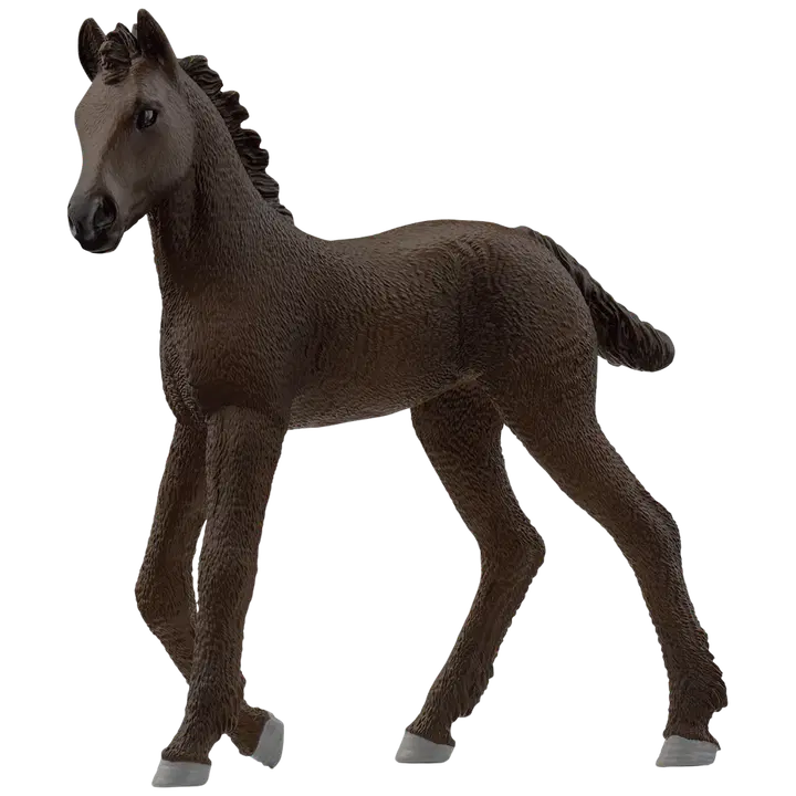 Friesian varss