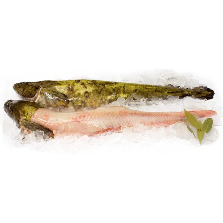 Hätälä Made n10kg