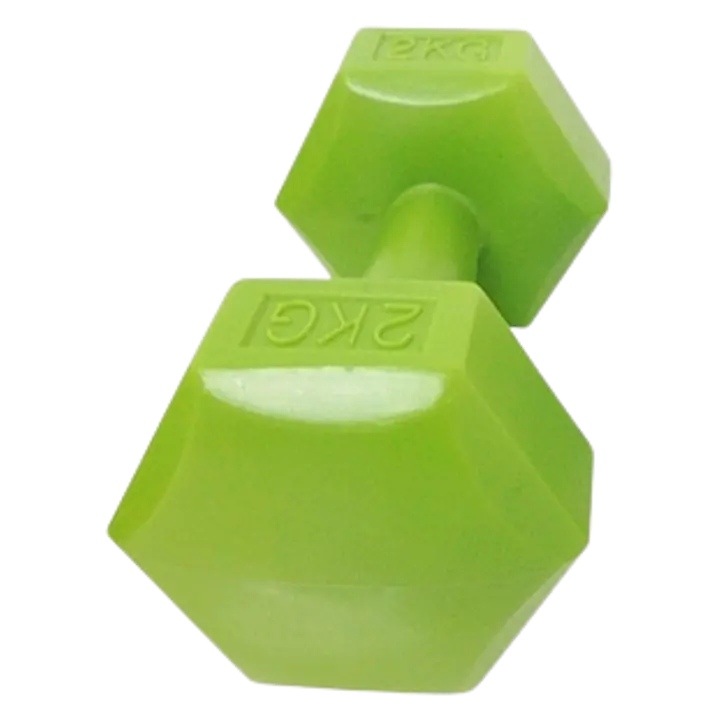 Vinüülhantlid 2 kg 2 tk