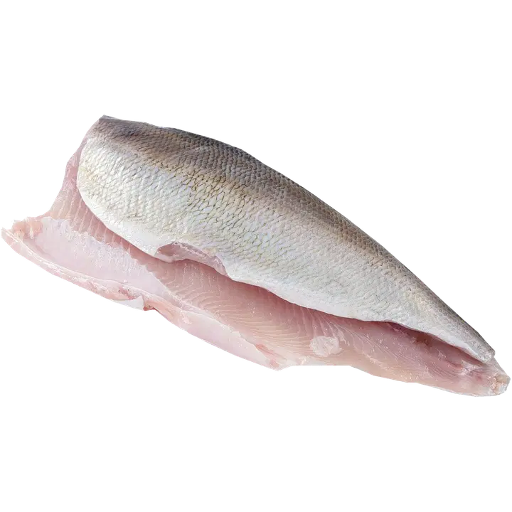 Pannusiika