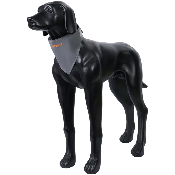 Icepeak Pet huivi Brightly L harmaa