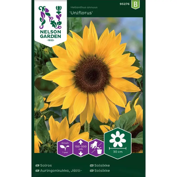 95276 päevalill uniflorus