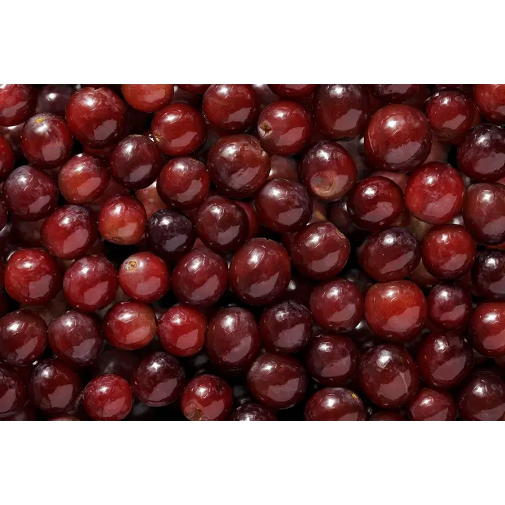 Fresh SalaattiMestari Viinirypäle tumma 1,2kg GN¼