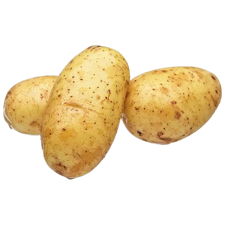 Hannulan peruna Siikli