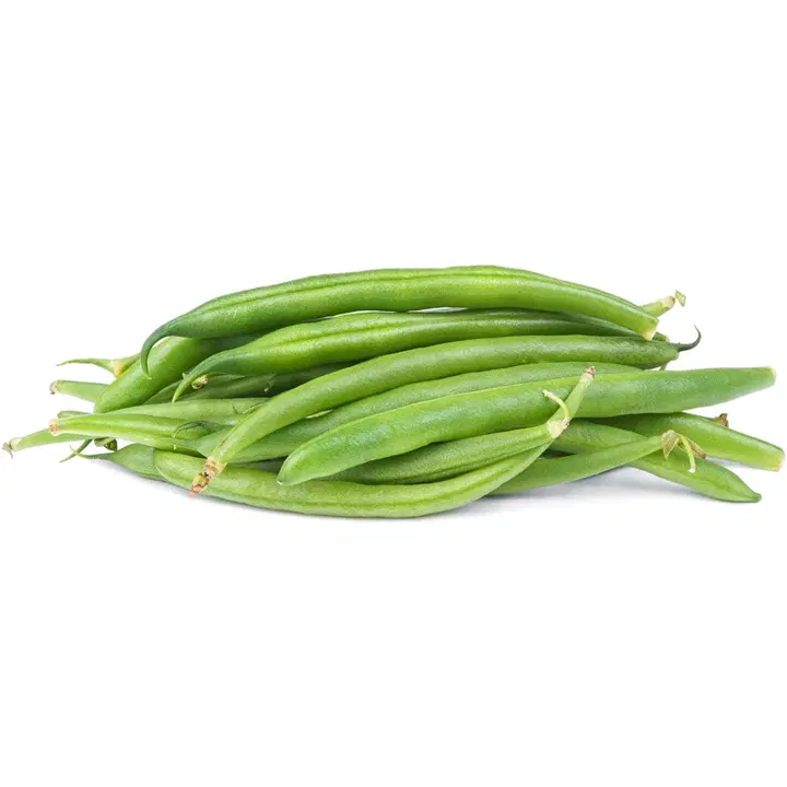 HÄSTÖN PENSASPAPU VIHREÄ