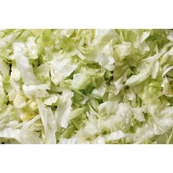 Fresh SalaattiMestari Jäävuorisalaatti leikattu 10 mm 1,0 kg pussi