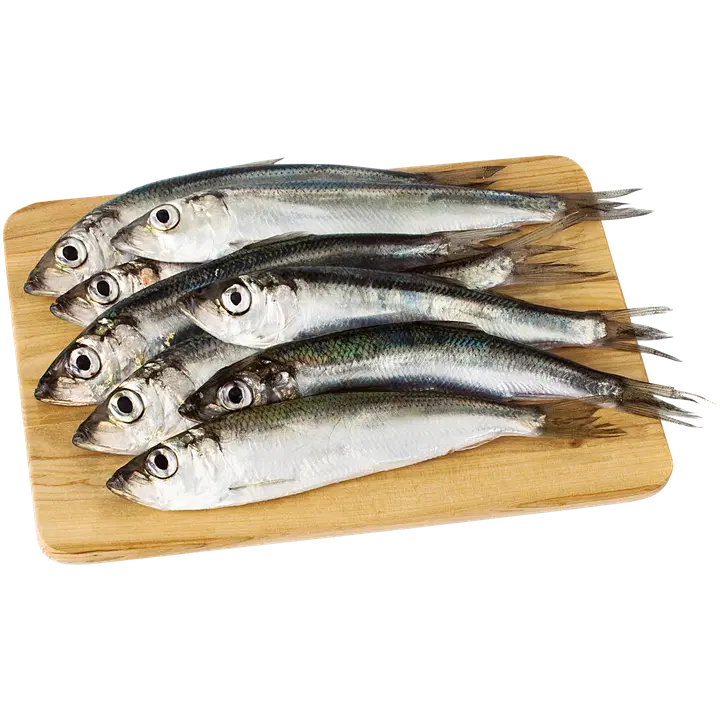 Silakka 6kg MSC