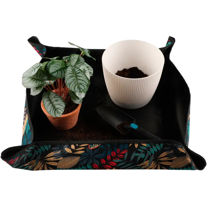 4Living Istutusalusta 72,5x72,5cm