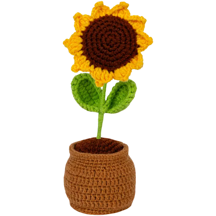 Heegeldatud päevalill potis