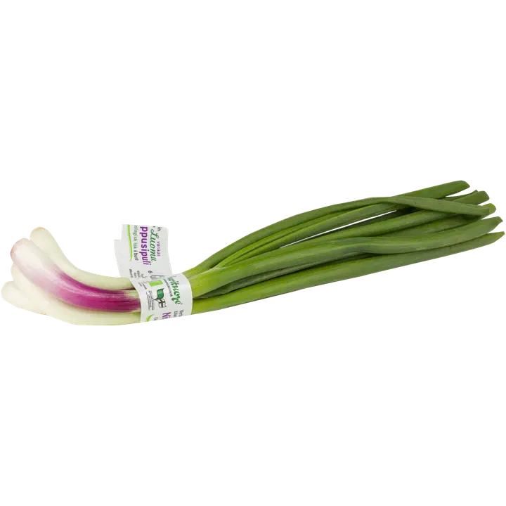 Sipulinippu mix luomu