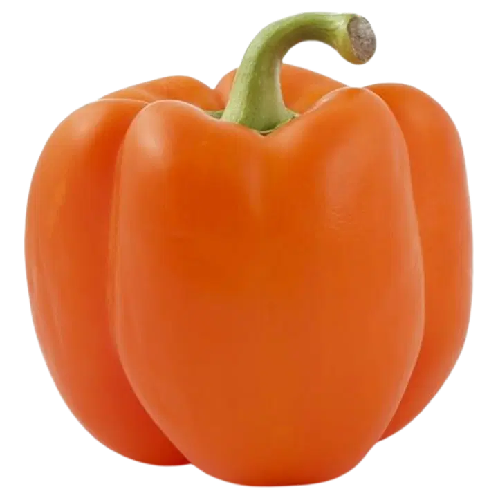 Sandvik Carola Paprika oranssi