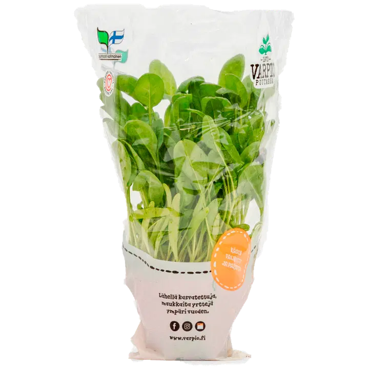 Varpio Puutarha pinaatti