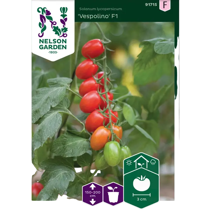 91715 kirstomat vespolino f1