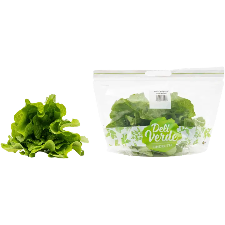 Deliverde deli-salaatti 200 g