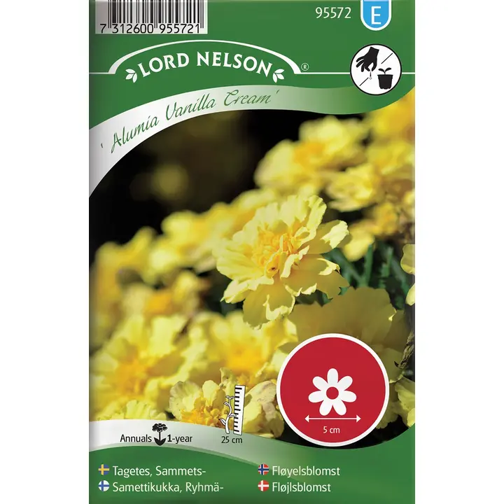 95572 tagetes alumia vanilla cream