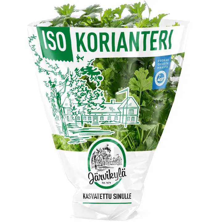 Järvikylän korianteri, iso 450 g