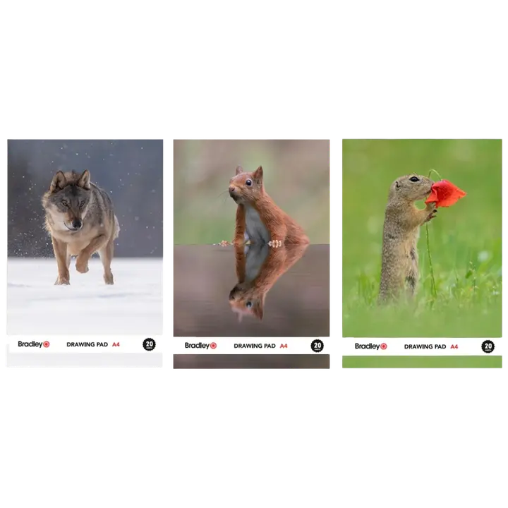 Joonistusplokk a4, 20 lehte 150g hans va