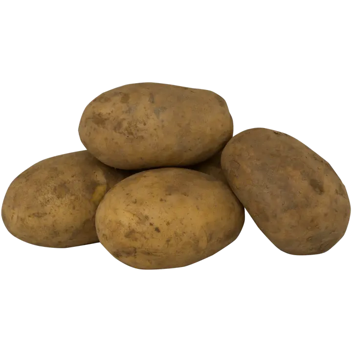 Jauhoinen peruna harjattu