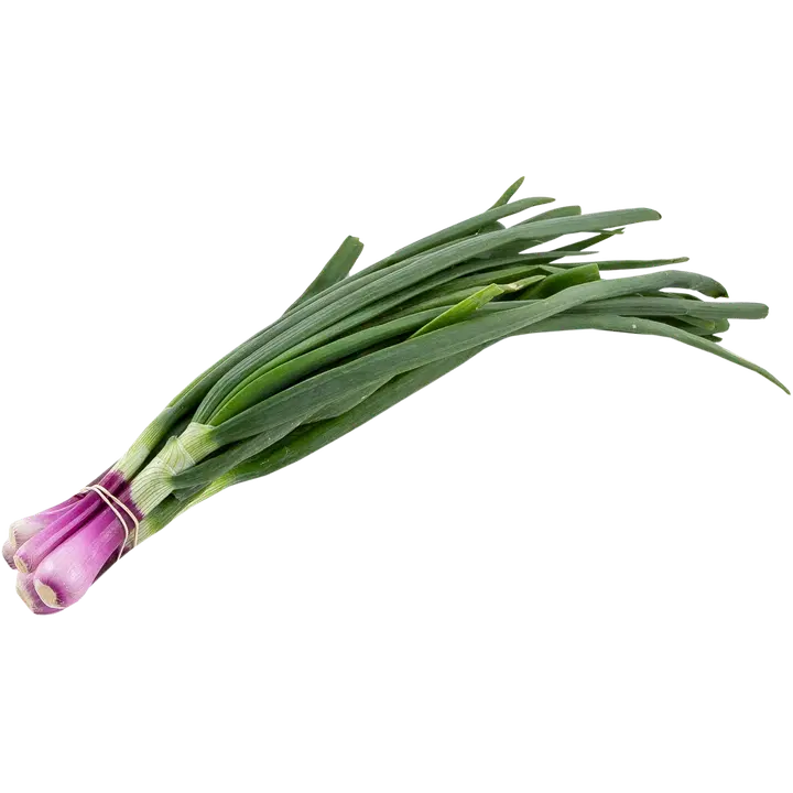 H&H Tuominen Punasipulinippu Suomi