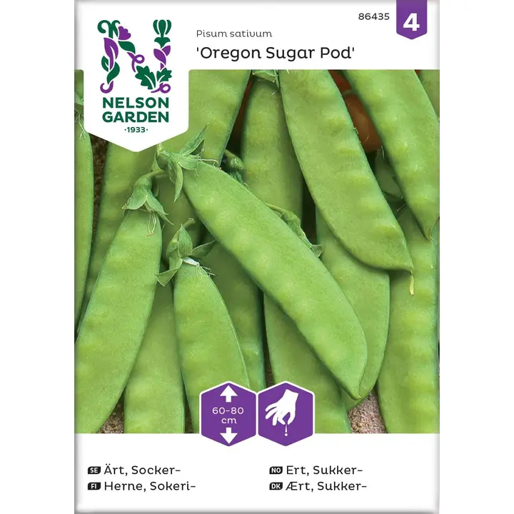 86435 hernes, sokeri-, oregon sugar pod