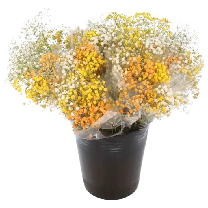 HARSONIPPUMIX 3 OKSAA