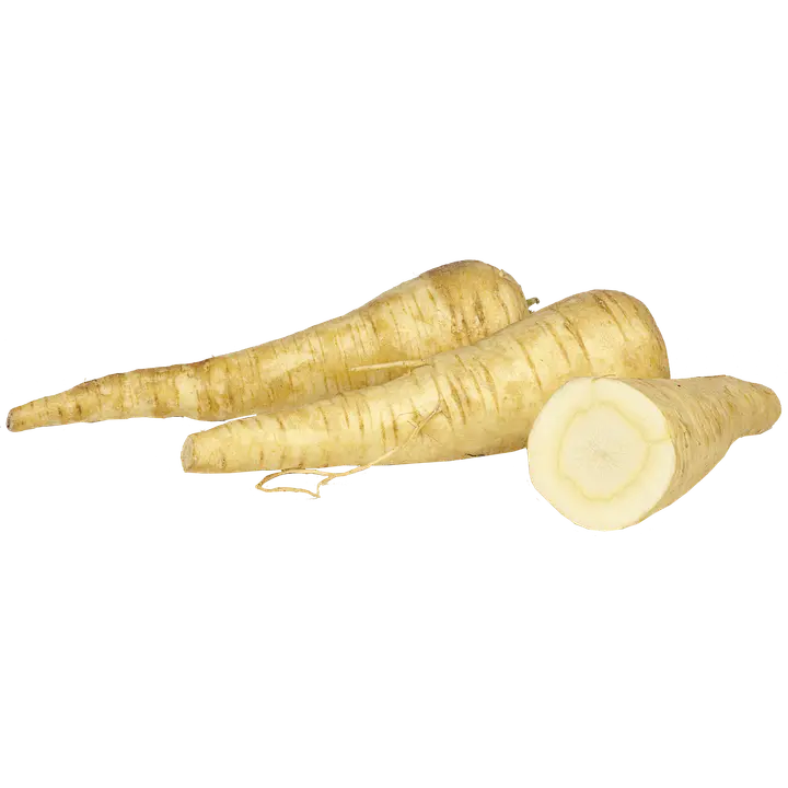 Palsternakka irto