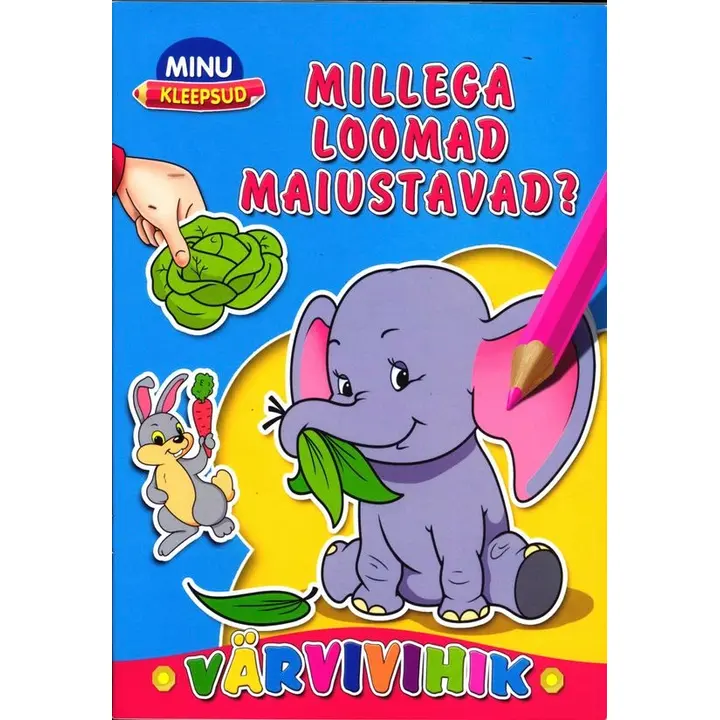 AJAKIRI MINU KLEEPSUD