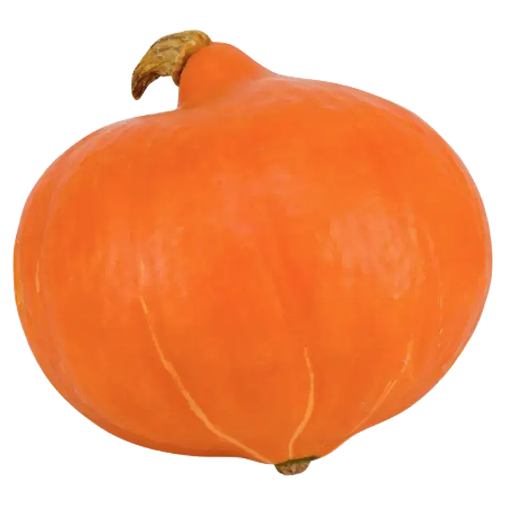 Mahe Kõrvits