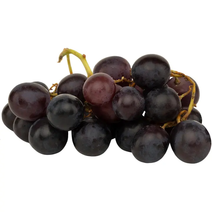 Tumma rypäle siemenellinen