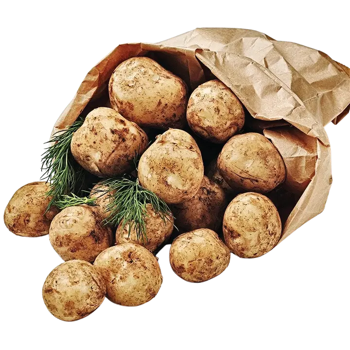 Kesäperuna multa