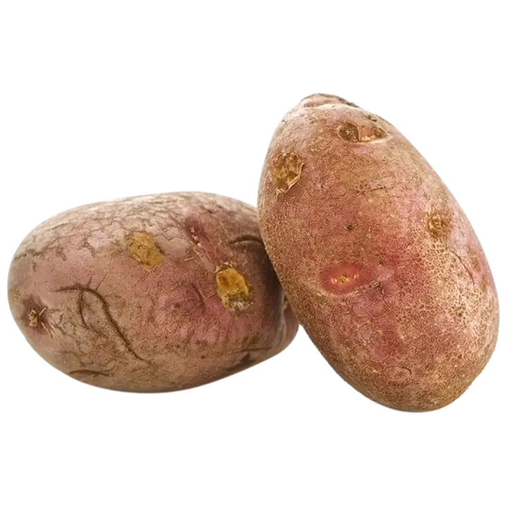 ROSAMUNDA PERUNA