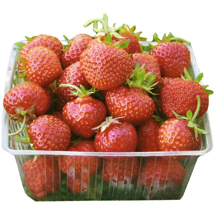 Suomalaista mansikkaa rasiassa 500g