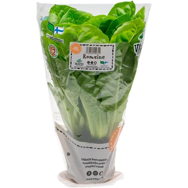 Varpio Puutarha romaine 130 g