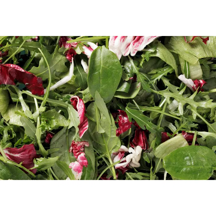 Fresh SalaattiMestari Gourmet mix 1,0 kg pussi