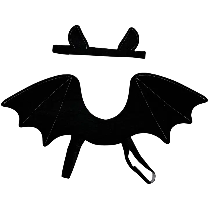 House Halloween lepakon siivet ja panta