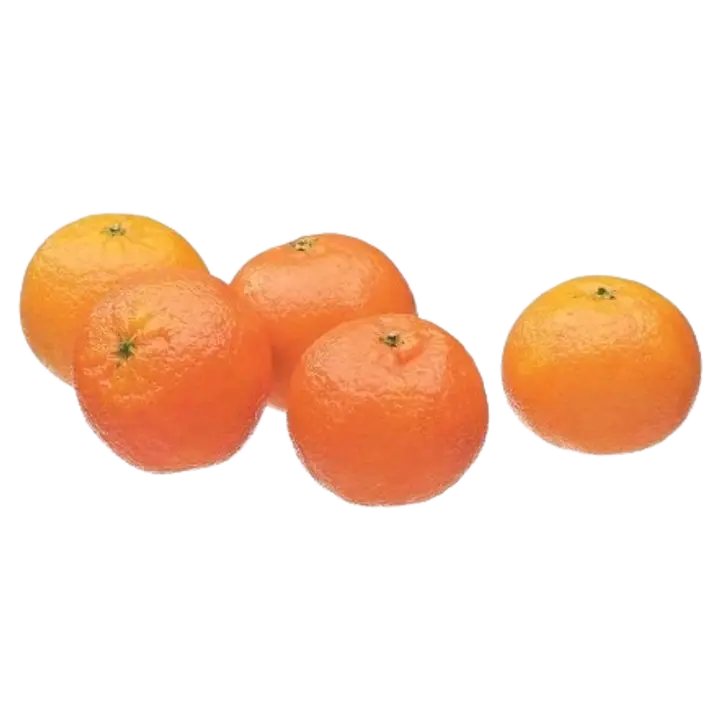 Xtra Mandariin Murcott I klass