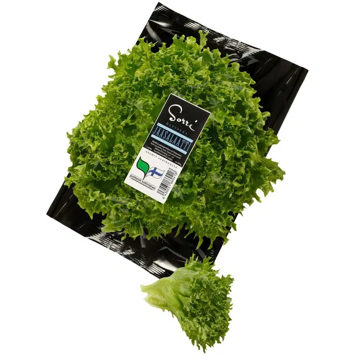 Sorri 200g rapsakka jääsalaatti