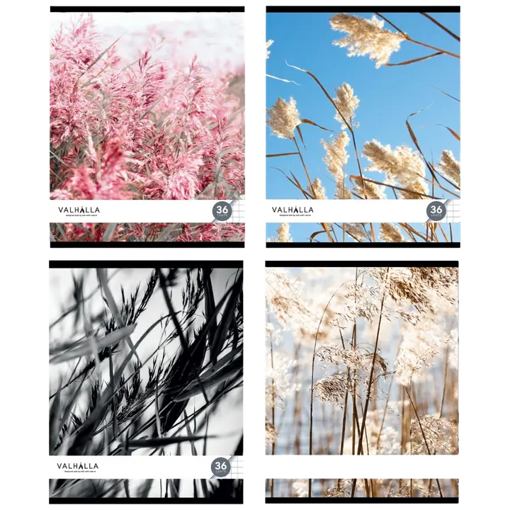 Kaustik 36l ruuduline lamineeritud kaan