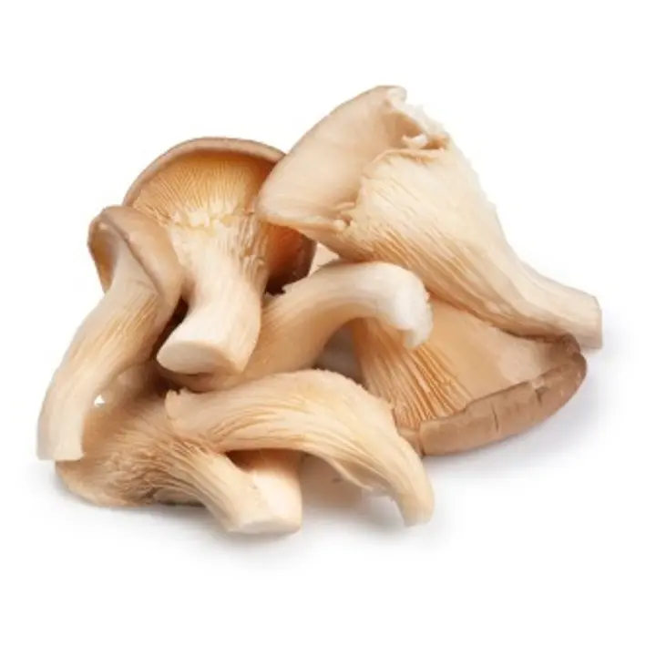 Austerservik karbis 300g