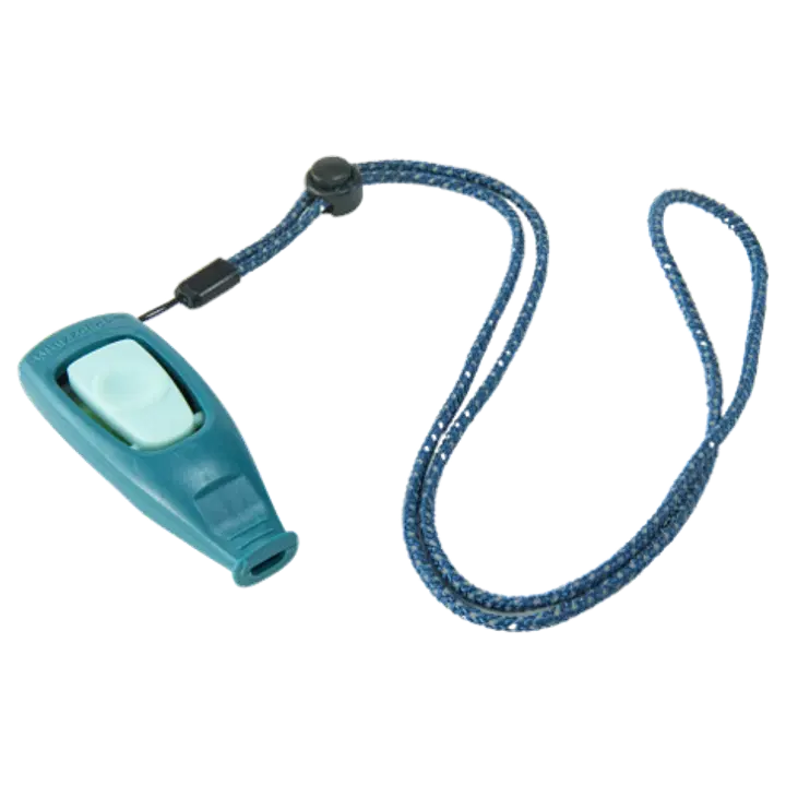 Coachi Puppy & Mini Whizzclick Teal & Mint