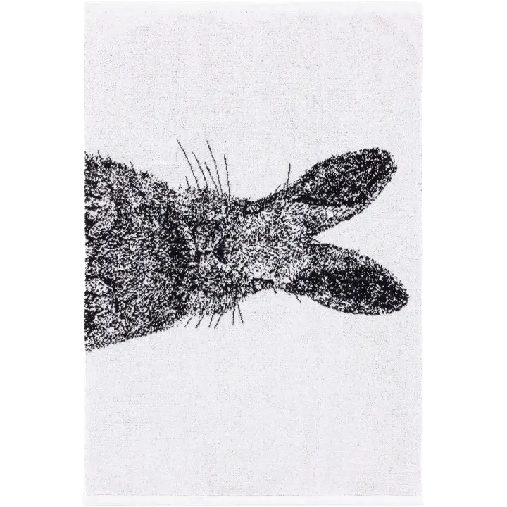 Käterätt Jänes 50x70