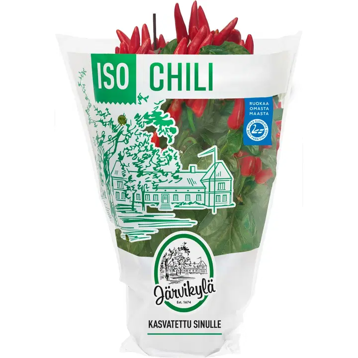 Järvikylä Chili, Iso