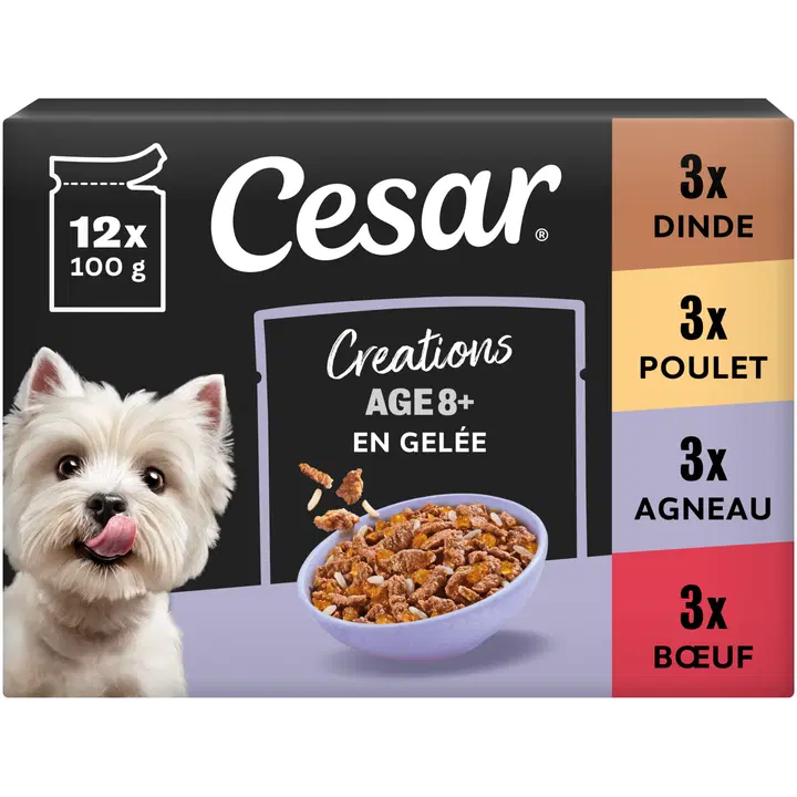 CESAR 12x100g Senior annospussilajitelma hyytelössä
