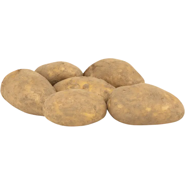 Kiinteä peruna multa