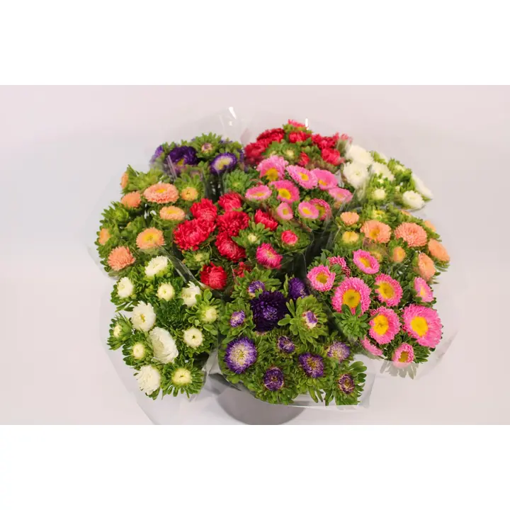 Asteri, lajitelma, 7 oksaa, 40cm