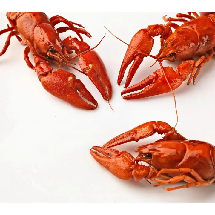 Herkku keitetyt suomalaiset jokiravut 11 cm+ 6 kpl